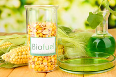 Nyton biofuel availability