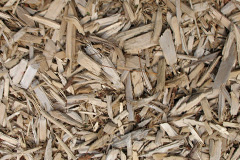 biomass boilers Nyton